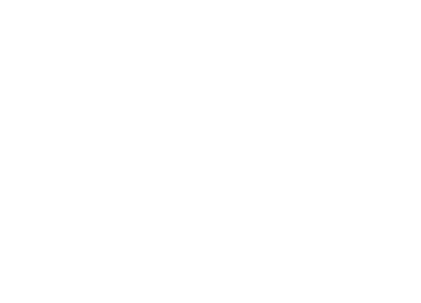 NEXT GRID